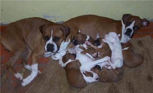 los bebes que tubo ahora ya tienen 5 meses